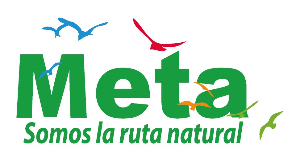 cabezote_web_2024